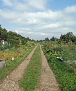 allotments